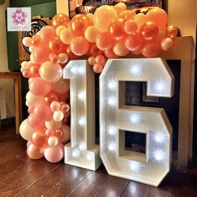 Image result for LED Numbers 16