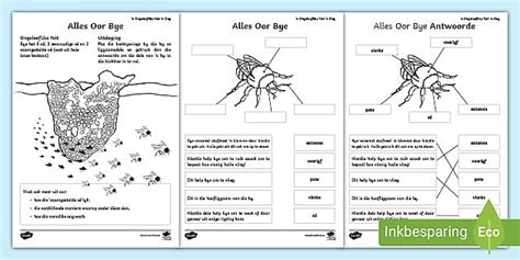 Alles Oor Bye Aktiwiteit (teacher made) - Twinkl