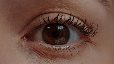 Extreme closeup of human eye in front of camera, blinking and focusing ...
