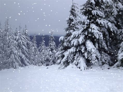 Image result for Snowfall Minecraft