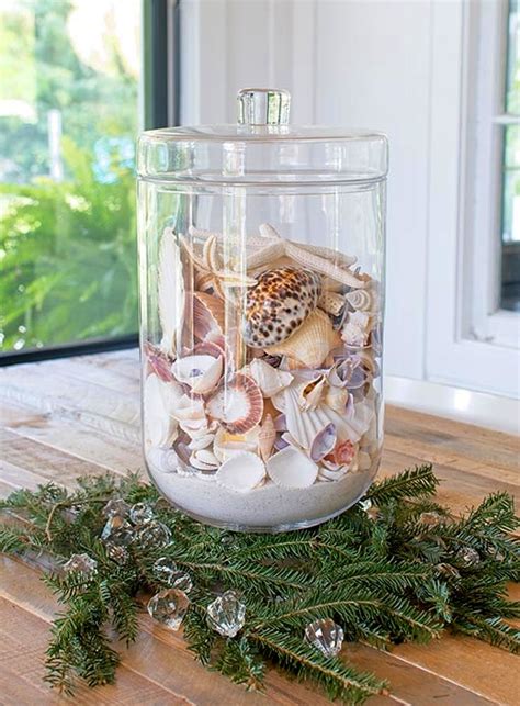 Image result for Seashell Collection