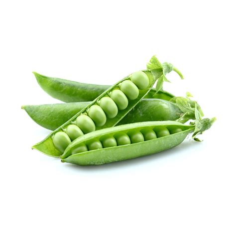 Pea