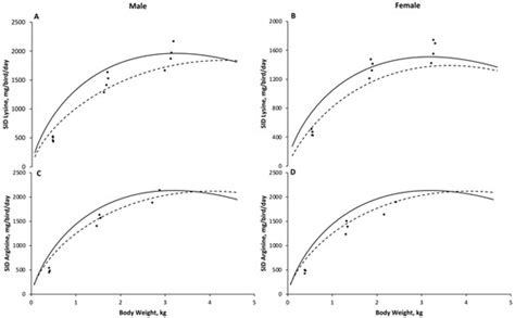 Modelling Broiler Requirements for Lysine and Arginine