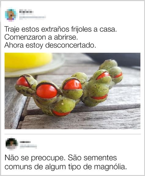 17 Provas de que, na Internet, você pode encontrar a resposta para ...