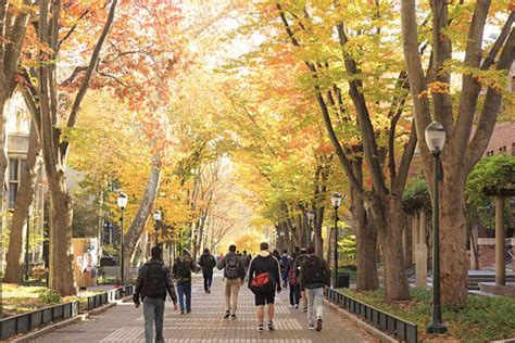Greek Life at Colleges Comes With a Cost