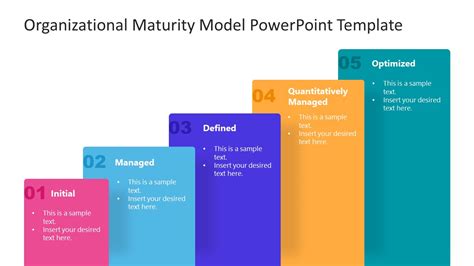 Maturity Model Examples 的图像结果