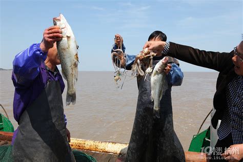 海边渔民的捕鱼生活，在大海中谋生，感受不一样的劳动之美|捕鱼|渔民|谋生_新浪新闻