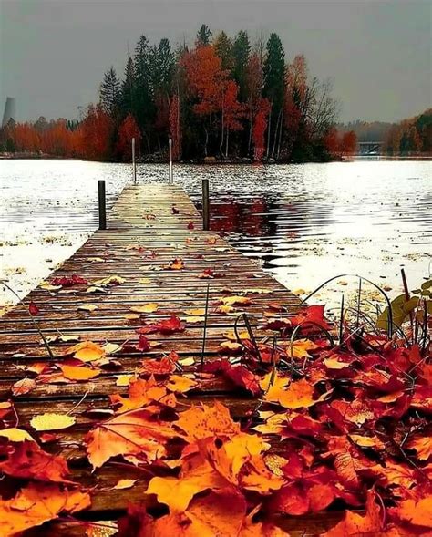 Fall aesthetic backgrounds – Artofit