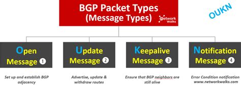 Image result for BGP Protocol Types