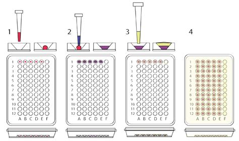 Image result for Protein Crystallization Screening