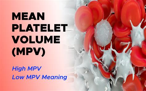 Platelet Volume Mpv