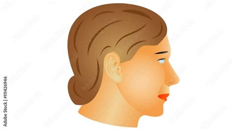 Aging Animation 的图像结果