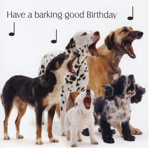 Happy Birthday Quotes For Dogs. QuotesGram
