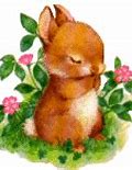 Image result for Miniature Lop Eared Bunnies