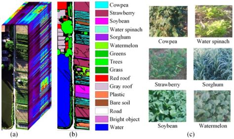Multiscale Superpixel-Based Fine Classification of Crops in the UAV ...