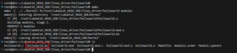 Kernel Development Driver HelloWorld 的图像结果
