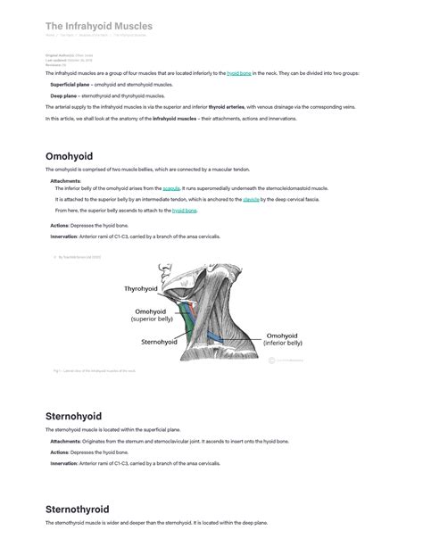 The Infrahyoid Muscles - Attachments - Teach Me Anatomy - The ...