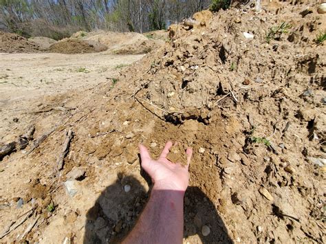 Fill Dirt (Non Screened)