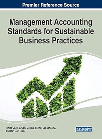 Buy Management Accounting Standards for Sustainable Business Practices ...