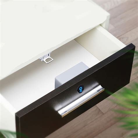 Hidden Drawer Locks 的图像结果