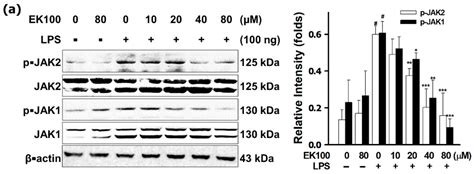 Ergosta-7,9(11),22-trien-3β-ol Attenuates Inflammatory Responses via ...
