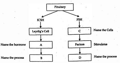 Given below is an incomplete chart showing influence of hormones on ...