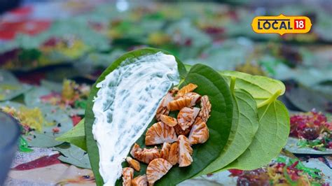 પાનમાં ચુના, કાથો અને સોપારીનું શું મહત્વ છે - What is the importance ...