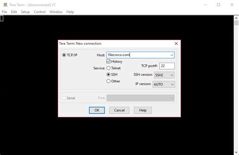 Tera Term Windows 1.0 的图像结果
