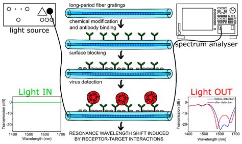 Immunosensor Based on Long-Period Fiber Gratings for Detection of ...