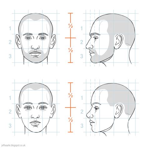 Human Face Drawing Proportions