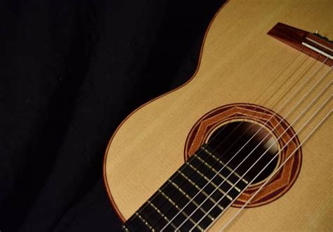 Image result for 8 String Classical