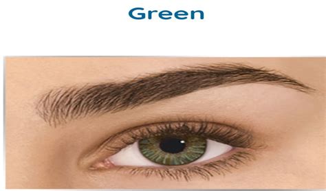 FRESHLOOK COLORBLENDS GREEN ZERO POWER - DrishtiKart