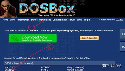 Masm DOSBox 的图像结果