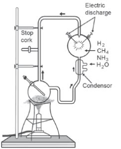 NCERT Solutions for Class 10 Science Chapter 9: Heredity and Evolution