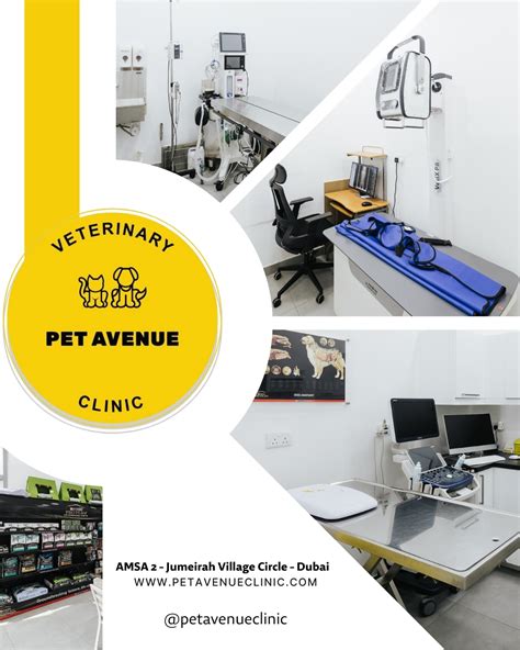 Pet Avenue Veterinary Clinic (@petavenueclinic) • Instagram photos and ...
