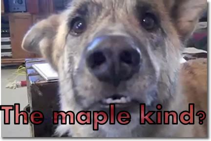 PowerPoint – Transparent Text – HeelpBook