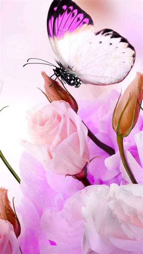 Download Cute Purple Butterfly Pink Flowers Wallpaper | Wallpapers.com