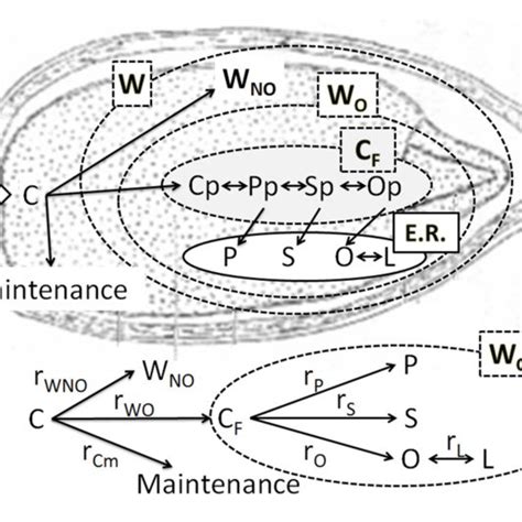 Image result for Solution Proposed Model Cartoon