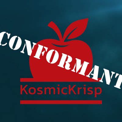 Image result for Vulkan Configurator