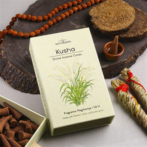 Kusha Divine Incense Cones | Fragrance : Nagchampa | Pack of 50 – ServDharm