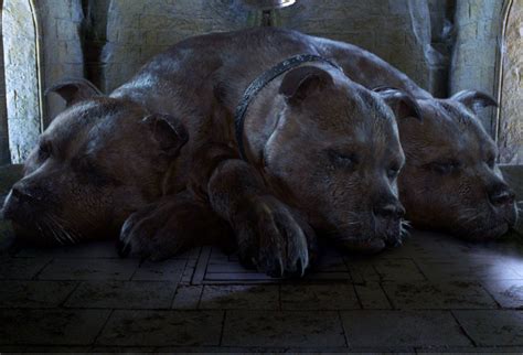 Harry Potter Dog Wallpapers - Wallpaper Cave