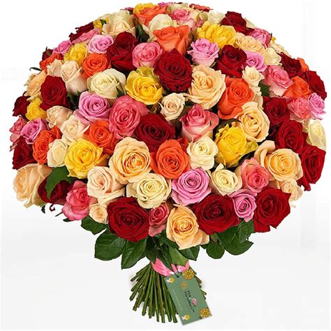 The FloralMart® Premium Fresh Flower Bunch of Roses in Cellophane ...