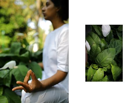 MUDRA VIGYAN - PHILOSOPHY & PRACTICE OF HAND GESTURES