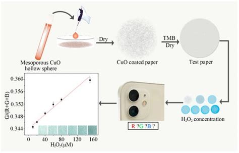 Synthesis of Mesoporous CuO Hollow Sphere Nanozyme for Paper-Based ...