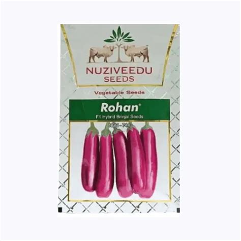 Buy Nuziveedu Rohan NBH 744 Brinjal Seeds | Early Maturity, High Yield ...