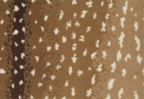 Wall To Wall Antelope Carpet at Declan Kathy blog