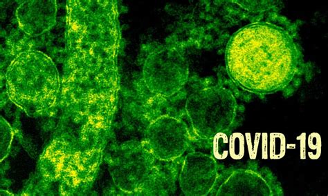 क्या वैक्सीन न लगाए गए व्यक्तियों को वैक्सीन लगाए गए लोगों की तुलना में ...