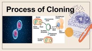 Image result for Cloning Process Explained