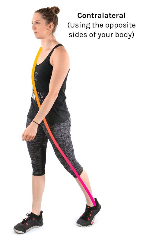 Bilateral & Unilateral - Tom Morrison