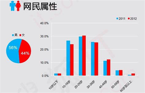 Chinese Internet Users 的图像结果